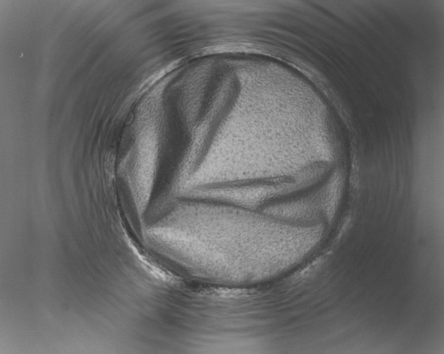 X0000076450849200611031929