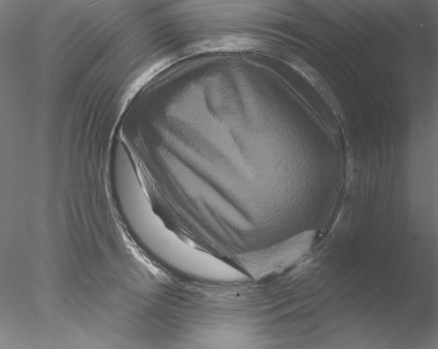 X0000076450850200611031929