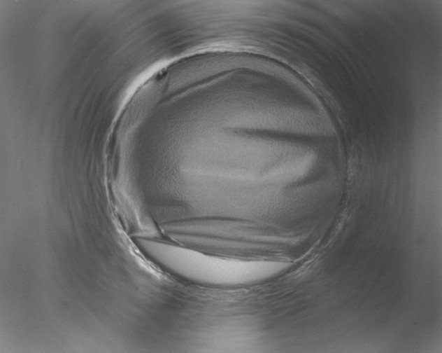 X0000076450854200611031929