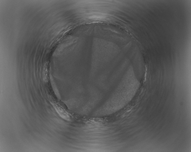 X0000076450868200611031929