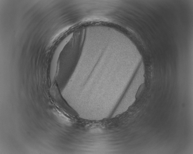 X0000076450872200611031929