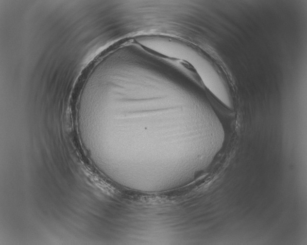 X0000076450876200611031928