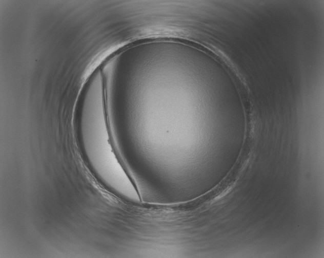 X0000076450885200611031928