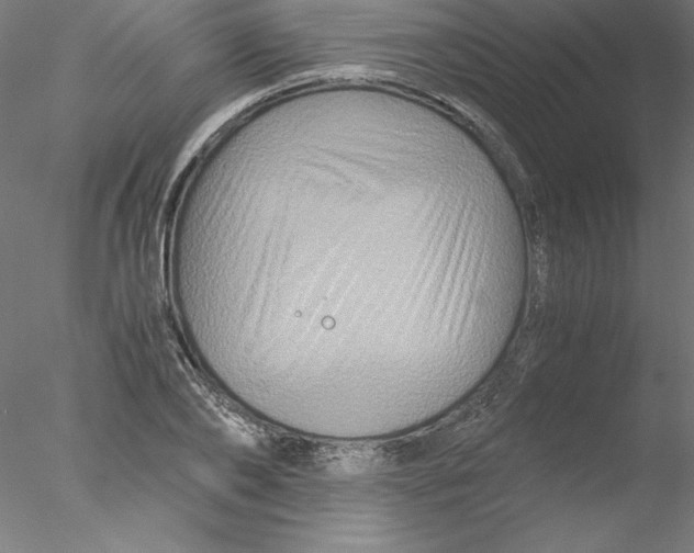 X0000076450886200611031928