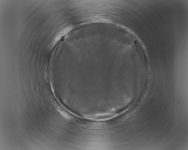 X0000076450889200611031928