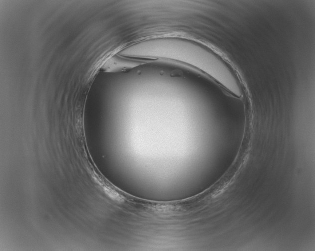 X0000076450897200611031928