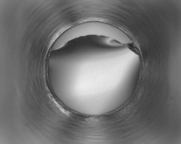 X0000076450898200611031928