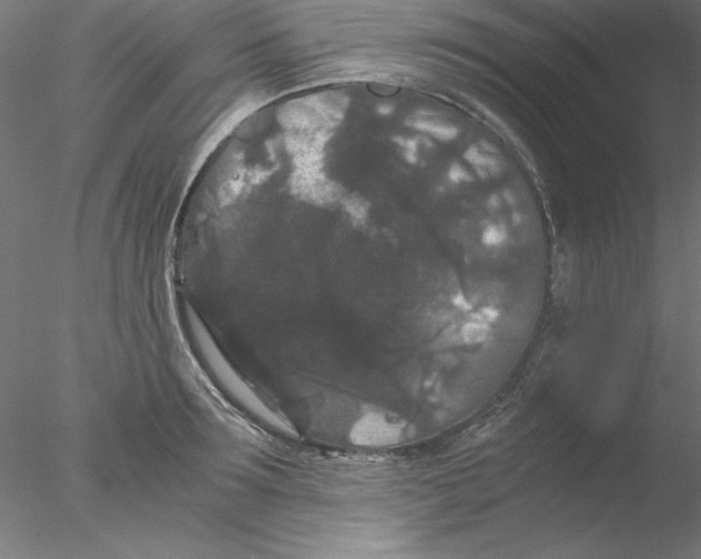 X0000076450899200611031928