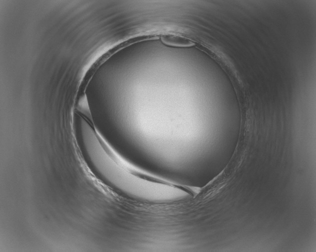 X0000076450936200611031927