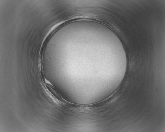 X0000076450940200611031927