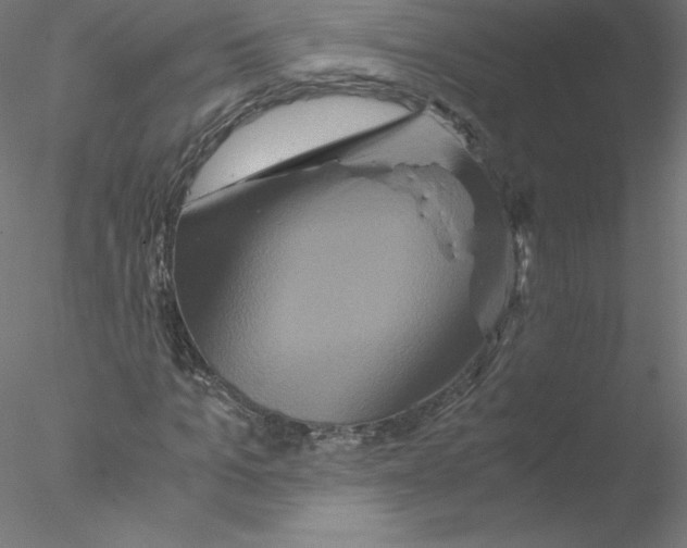 X0000076450965200611031927