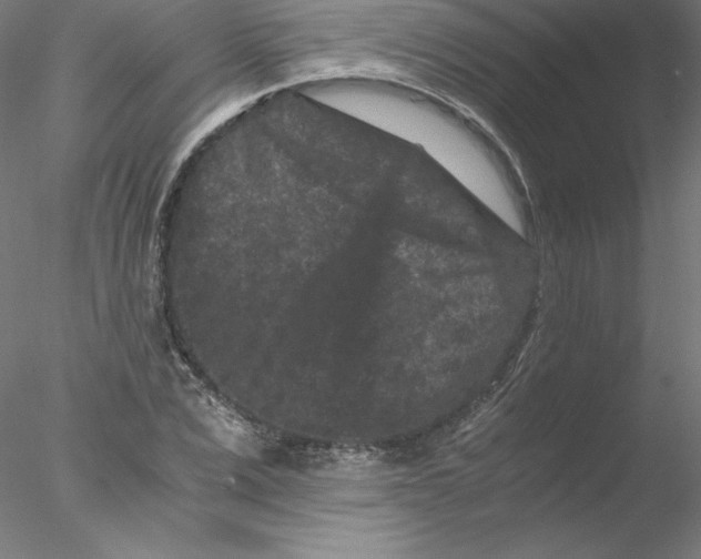 X0000076450975200611031927