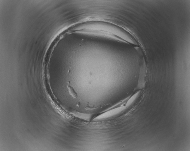 X0000076450976200611031927