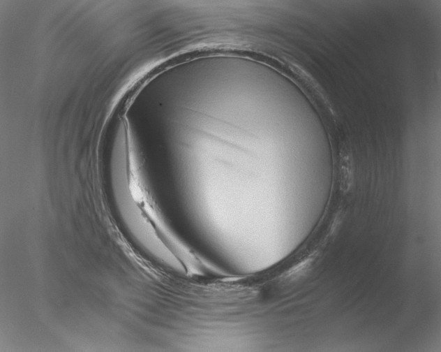 X0000076450981200611031927