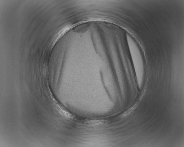 X0000076450993200611031926