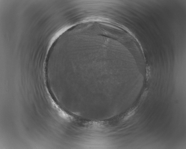 X0000076450995200611031926