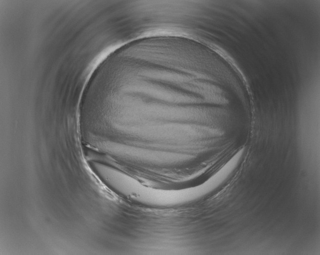 X0000076450996200611031926