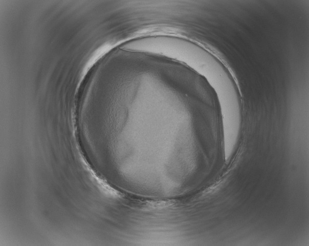 X0000076450997200611031926