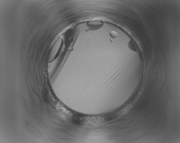X0000076451001200611031926