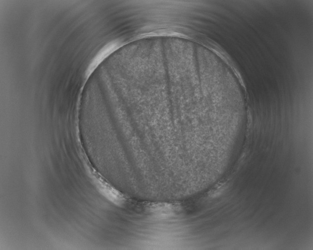 X0000076451002200611031926