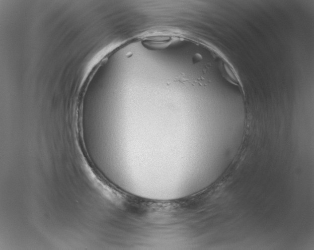 X0000076451003200611031926