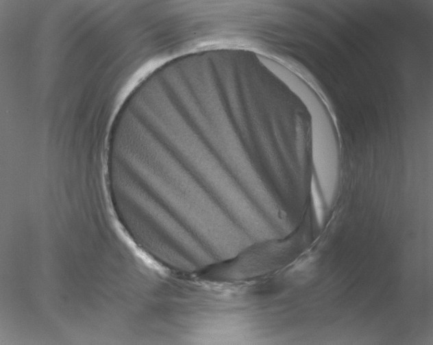 X0000076451005200611031926