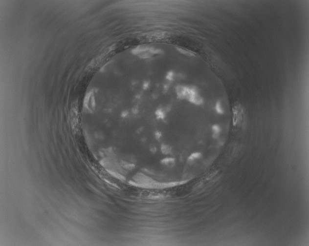 X0000076451011200611031925