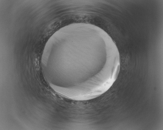 X0000076451013200611031925