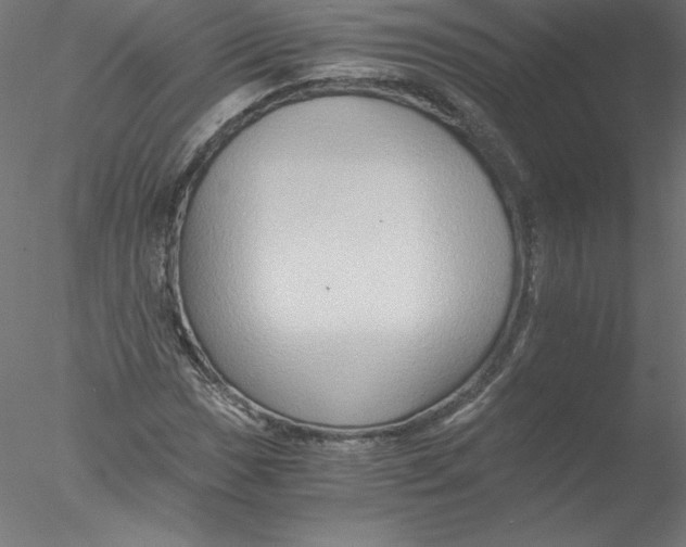 X0000076451017200611031926