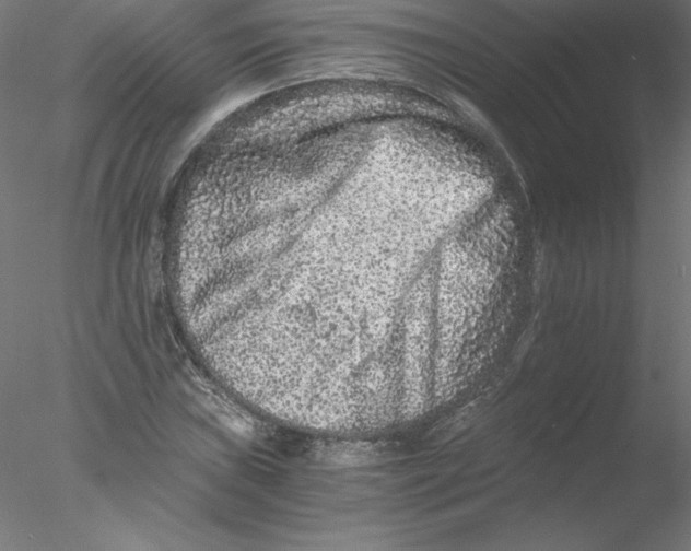 X0000076451019200611031926