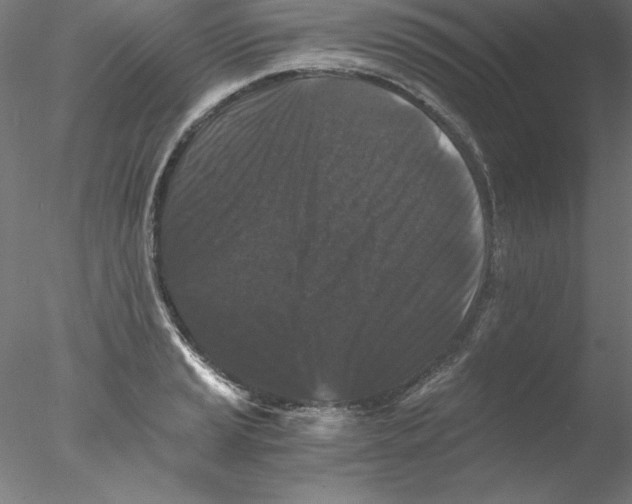 X0000076451037200611031926