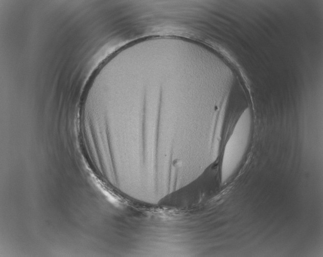 X0000076451040200611031926
