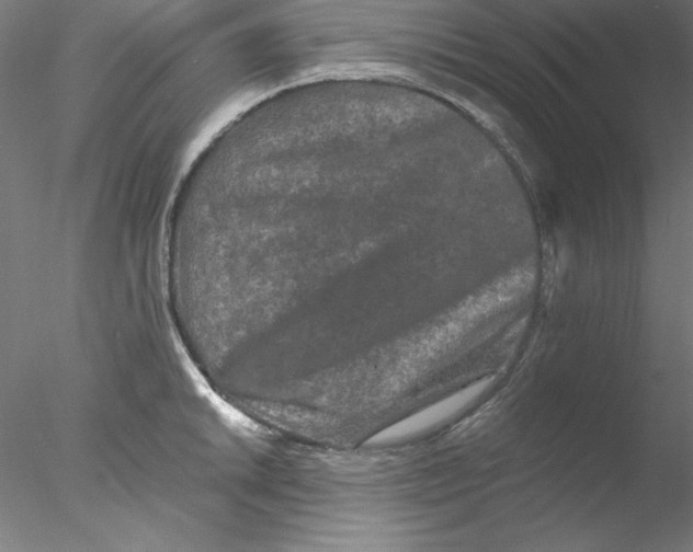 X0000076451046200611031926