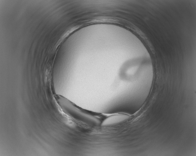 X0000076451049200611031926
