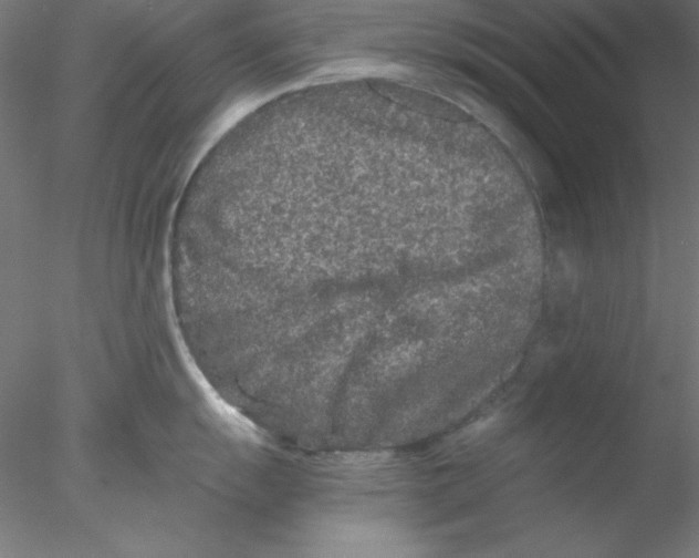 X0000076451055200611031926