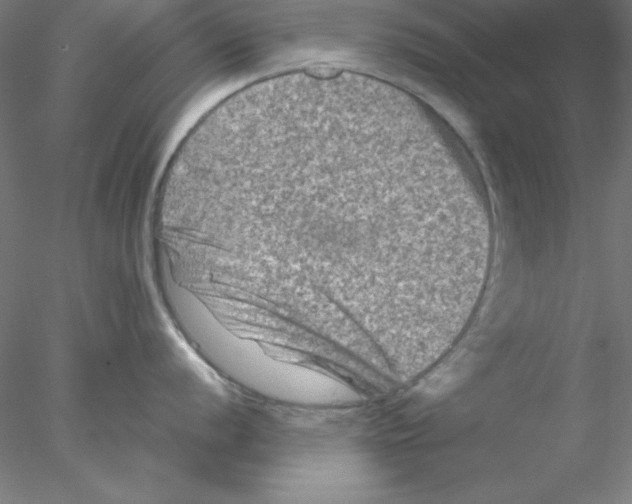 X0000076451056200611031926