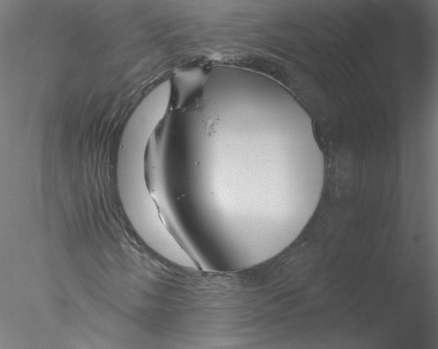 X0000076451058200611031925