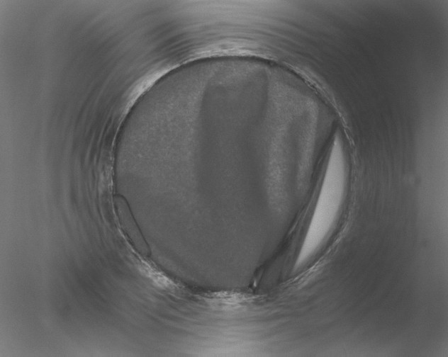 X0000076451081200611031925