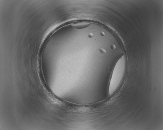 X0000076451085200611031925