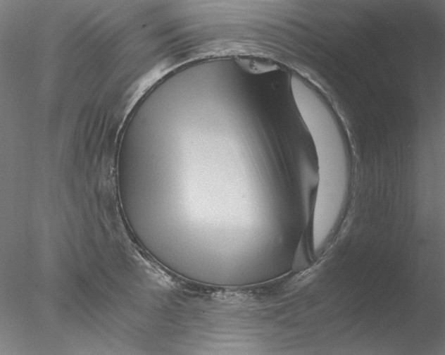 X0000076451089200611031925