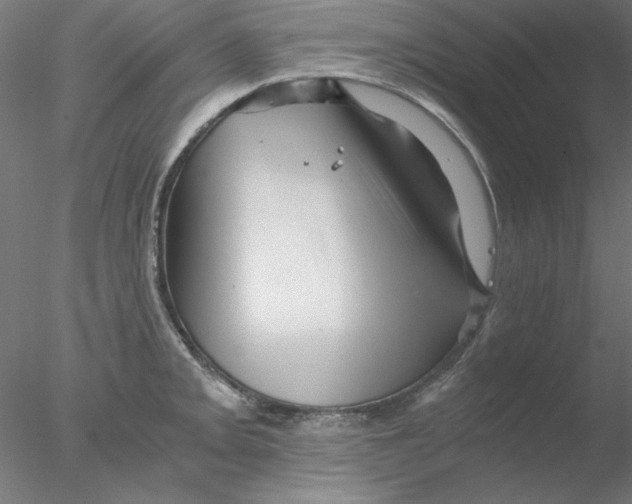 X0000076451093200611031925