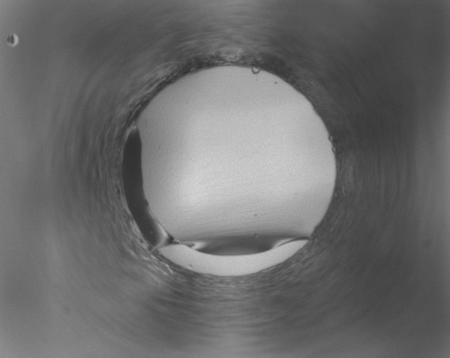 X0000076451105200611031924