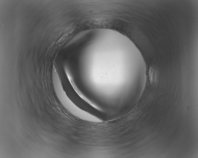 X0000076451107200611031924