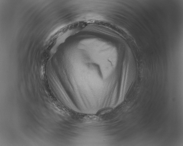 X0000076451112200611031924