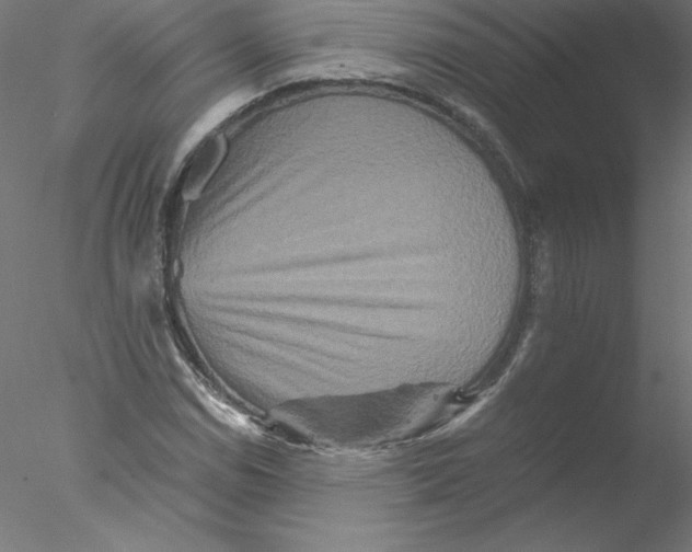 X0000076451114200611031924