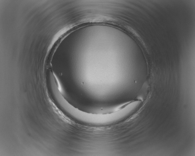 X0000076451122200611031924