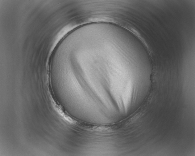 X0000076451140200611031924