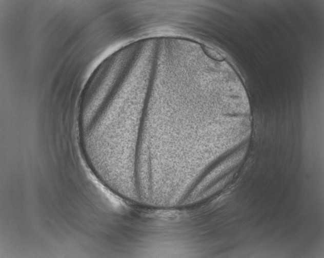 X0000076451142200611031924