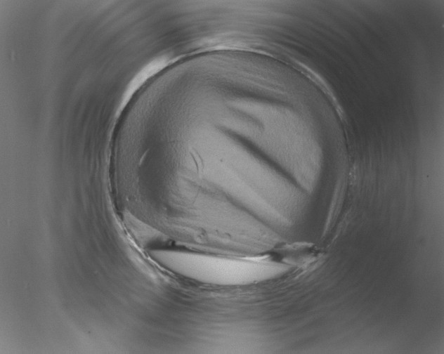 X0000076451146200611031924