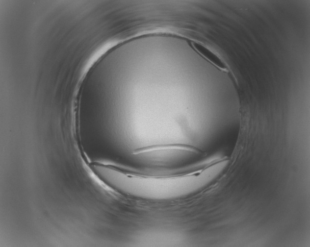 X0000076451151200611031925